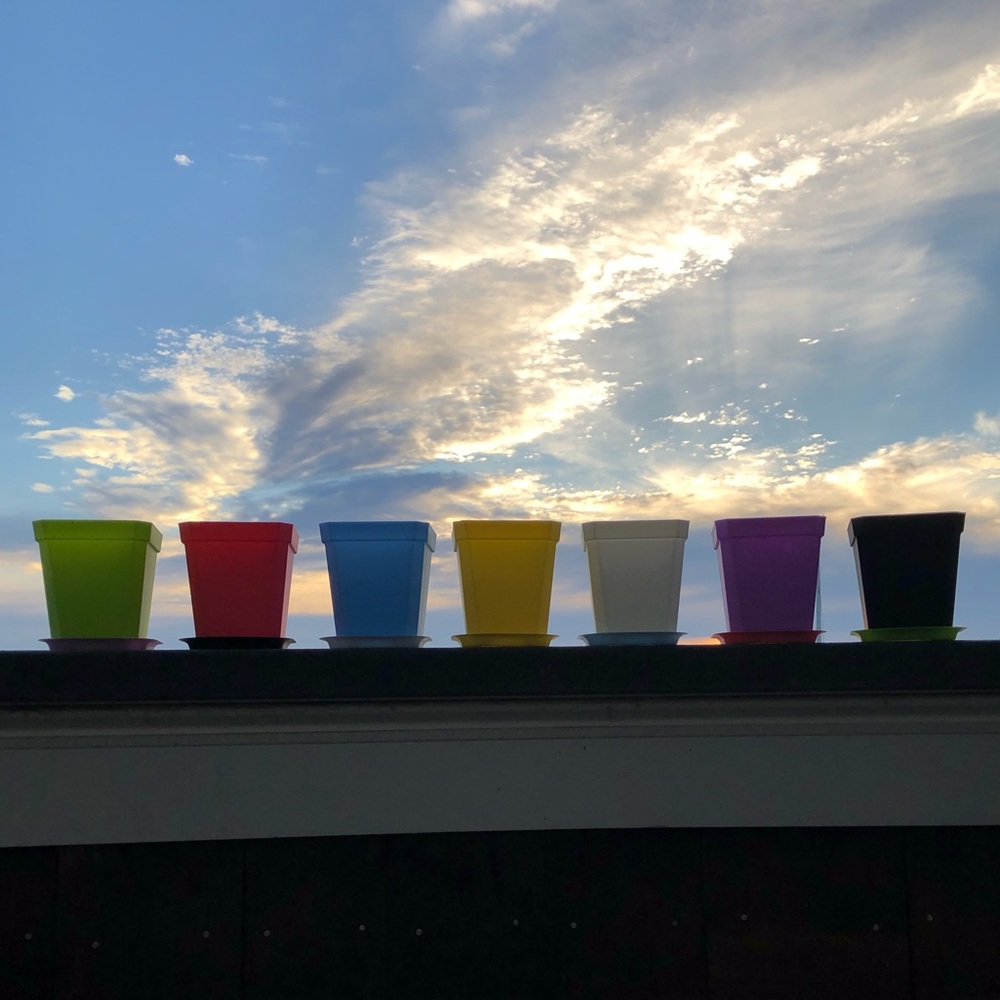 ★NEW★ 7 PACK Mini Planters Succulent Cactus Flower - Picture 12 of 16